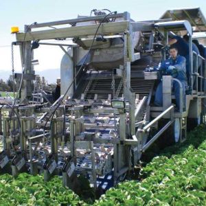 Mechanical Harvesting Technology