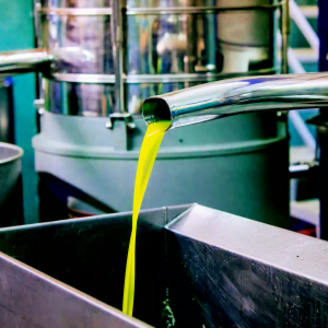 New Production Technology Improves Olive Oil Quality