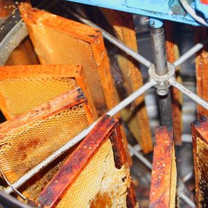 Honey Extraction & Centrifugation