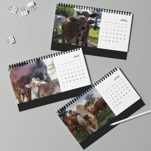 Calendars