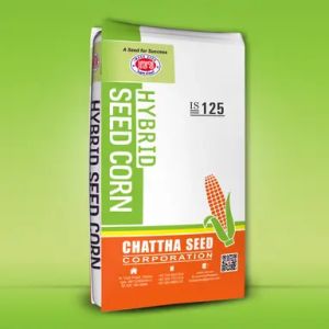 Hybrid Corn Seed