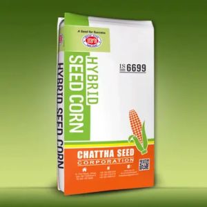 Hybrid Corn Seed for Silage
