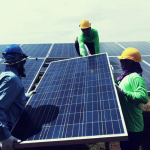 Solar Panels (Photovoltaic Modules)