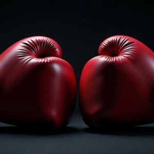 Boxing Gloves