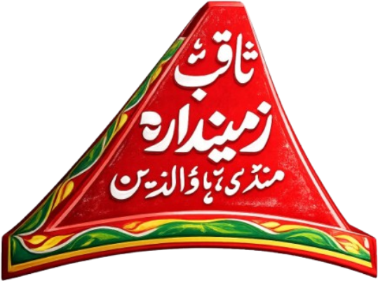 Saqib Zamindara Agro & Engineering Works