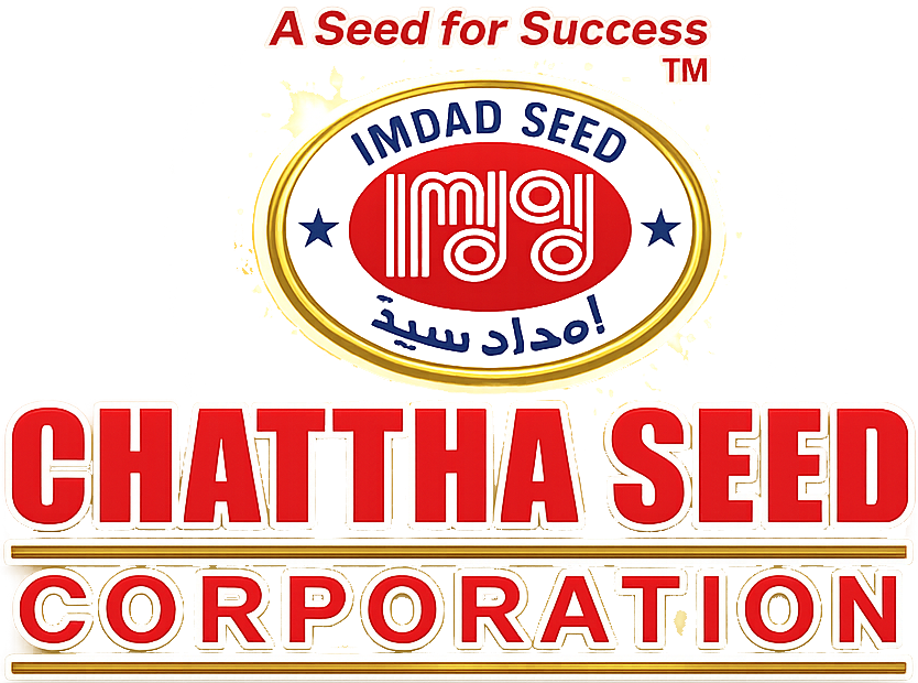 M/S Chattha Seed Corporation