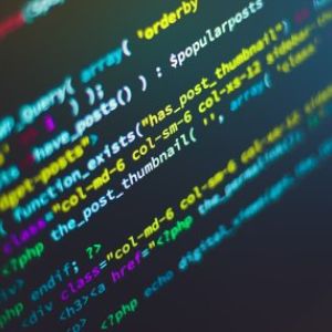 WordPress Solutions