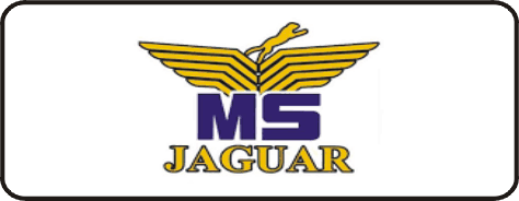 MS Jaguar