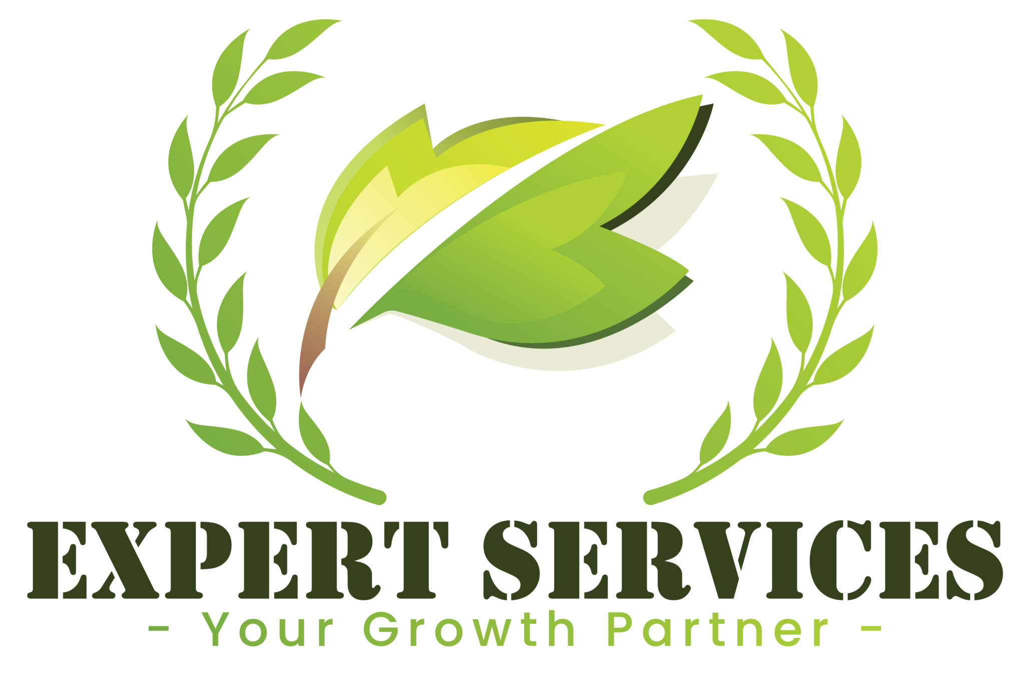 Expert Services
