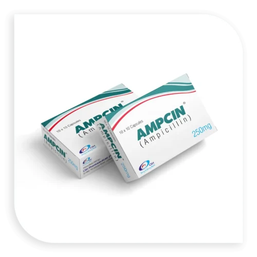 Ampcin (Ampicillin)