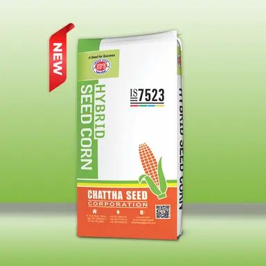 New Hybrid Corn Seed